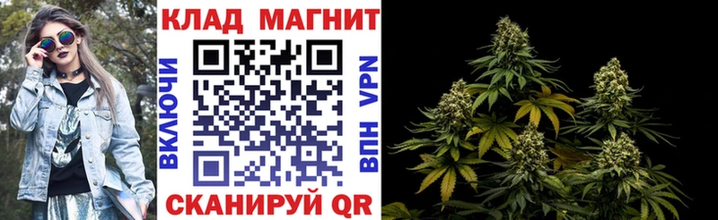 Какие есть наркотики Нерчинск Псилоцибиновые грибы  LSD-25  МЕФ  COCAIN  Гашиш  APVP 