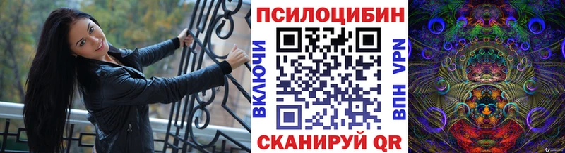 купить   Нерчинск  Галлюциногенные грибы MAGIC MUSHROOMS 